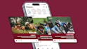 design attractive social media posts