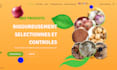 create your professional site with wordpress