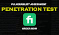 perform security audit and penetration testing for web apps