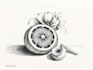 create pen and ink still life drawings and object illustrations