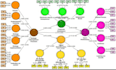 statistical data analysis tutoring research support