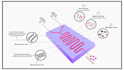 create scientific graphical abstracts and illustrations