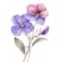 line art illustrations, botanical flowers, plants