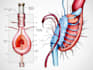 do medical and scientific illustrations
