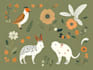 draw botanical and animal designs and patterns for you