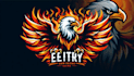 do eagle phoenix hawk fire burning flame mascot logo design