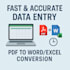 do accurate data entry, PDF to excel or word conversion