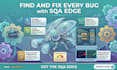 do qa manual testing for websites, apps, and software with bug reports