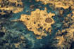 create you a galaxy map, space map, fantasy detailed map