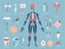 draw professional medical illustrations