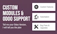 customize odoo, build custom modules and integrate apis
