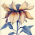 paint watercolour botanical illustrations