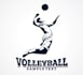 design a unique volleyball logo with original concept