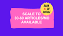 write SEO blog content tailored to your niche