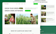 create a professional website for your service