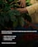 high quality products from sri lanka tea coffee spices clothing and  items