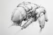 make your warhammer 40k, sigma