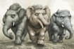 draw your political or editorial cartoon