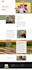 create clean responsive redesign website