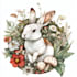 draw animal and botanical illustrations