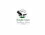 create a professional eagle bird logo in vector format