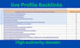 provide you high quality profile backlinks