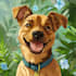 draw your potrait pet in disney style cartoon illustration