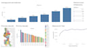 be your data analyst and dashboard developer