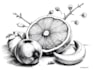 create pen and ink drawings and object illustrations