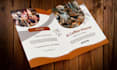 design professional brochure, flyer and leaflet