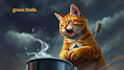 make ai generated cat funny promotional youtube viral videos