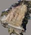process lidar data, registration, classification, 3d model, dtm, contours