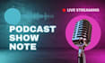 write killer podcast show notes with timestamps,SEO