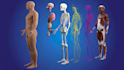 create professional 3d medical, anatomy, surgical and healthcare animatio