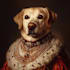 design custom pet portrait