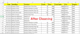 data cleaning formatting and excel data analysis