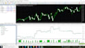 create your expert advisor in mql5