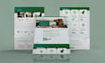 redesign website, copy clone wordpress website, woocommerce store
