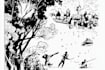 draw black and white illustrations