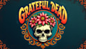 create amazing grateful dead mascot logo