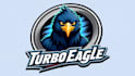 make eye catching turbo eagle mascot logo design in my style