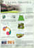 design stunning architecture boards, poster concept panels