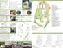 conduct architecture research,prepare case study and comparative analysis