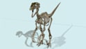 create 3d realistic animals animation for games and VR