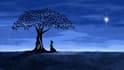 give you an accurate answer to one psychic question
