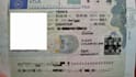 give you complete visa filing assistance