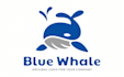 make incredible wonderful whale logo