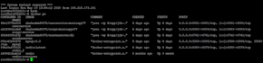 deploy your java spring boot application