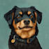 draw your pets into disney cartoon style