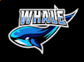 do whale logo design in high definition